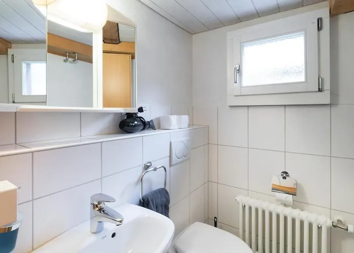 Apartmán Deer Grindelwald